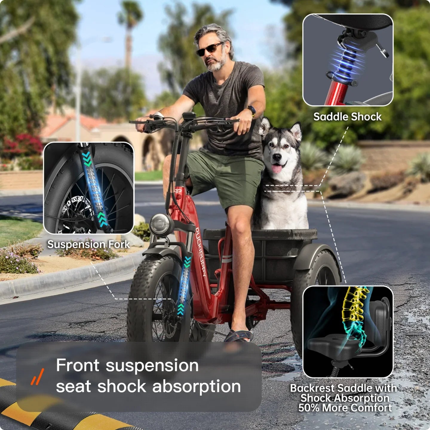 Stable, Stylish, and Smart Mobility!