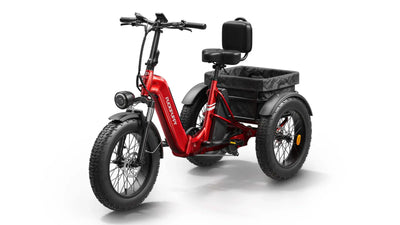 PUCKIPUPPY Electric Tricycle