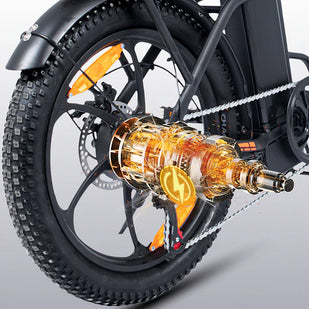 250W Brushless Motor