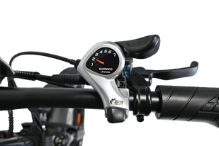 Powerful Performance Combination