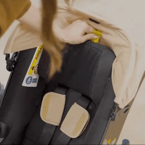 Adjustable Headrest & Harness!