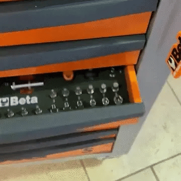 Introducing the evolution of the