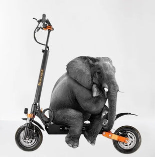 Full Aluminum Alloy Frame